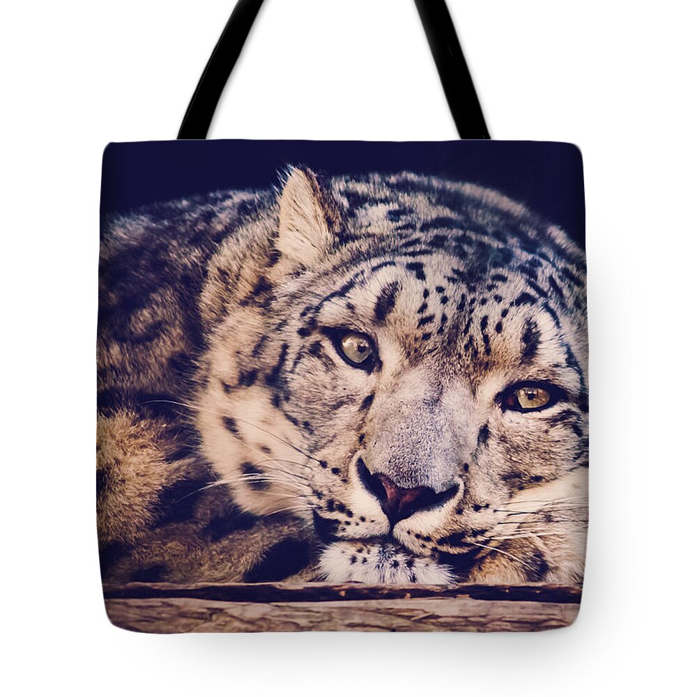 Snow Leopard Tote Bag featuring the photograph Snow Leopard by Sara Frank