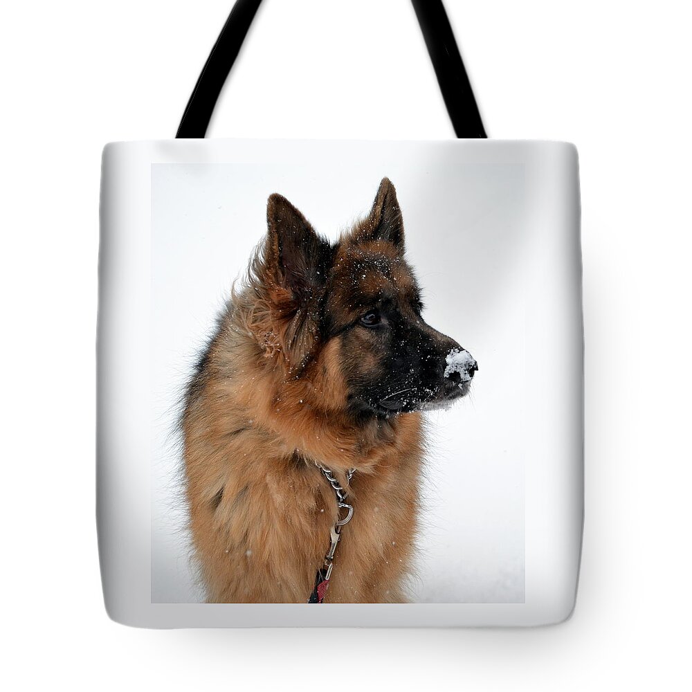 German Shepherd Tote Bag featuring the photograph My Nose Is Cold by Cathy Shiflett