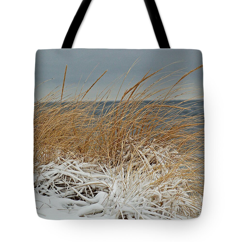 Snow Tote Bag featuring the photograph Snow on the dunes by Nancy Landry