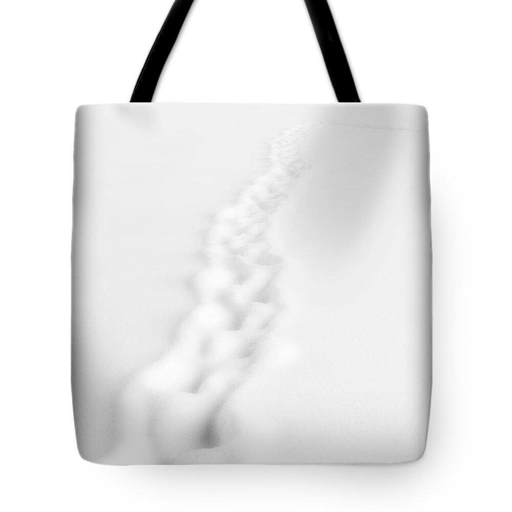 Landscape Tote Bag featuring the photograph Snow Trail by Alexander Fedin