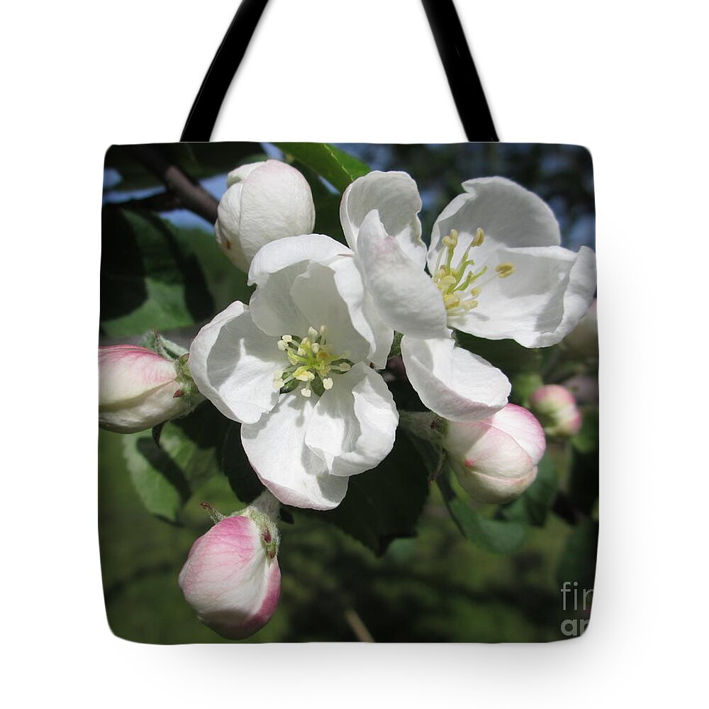 Snow White Tote Bag featuring the photograph Snow White by Martin Howard