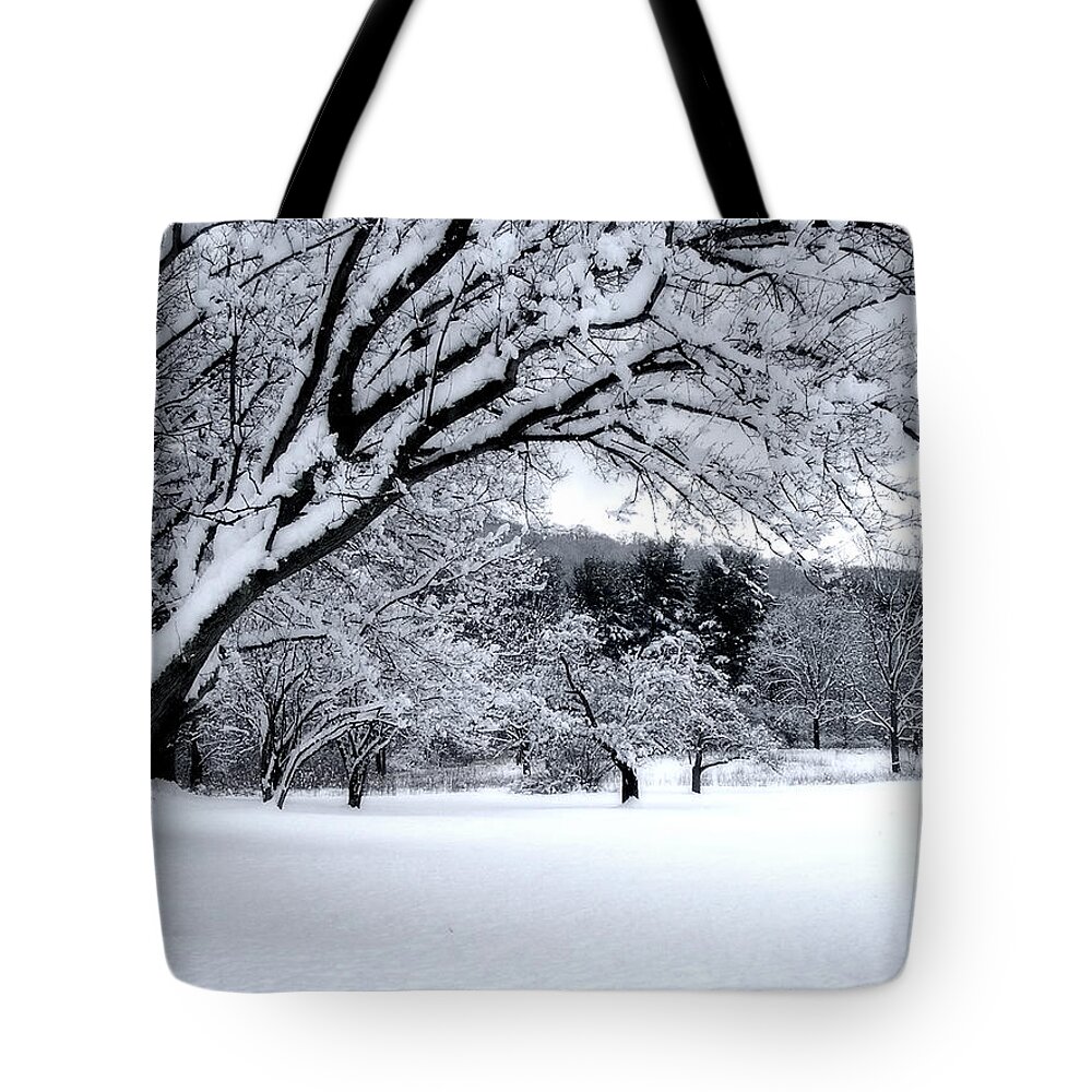 Snow Tote Bag featuring the digital art Snowfall by Bruce Rolff