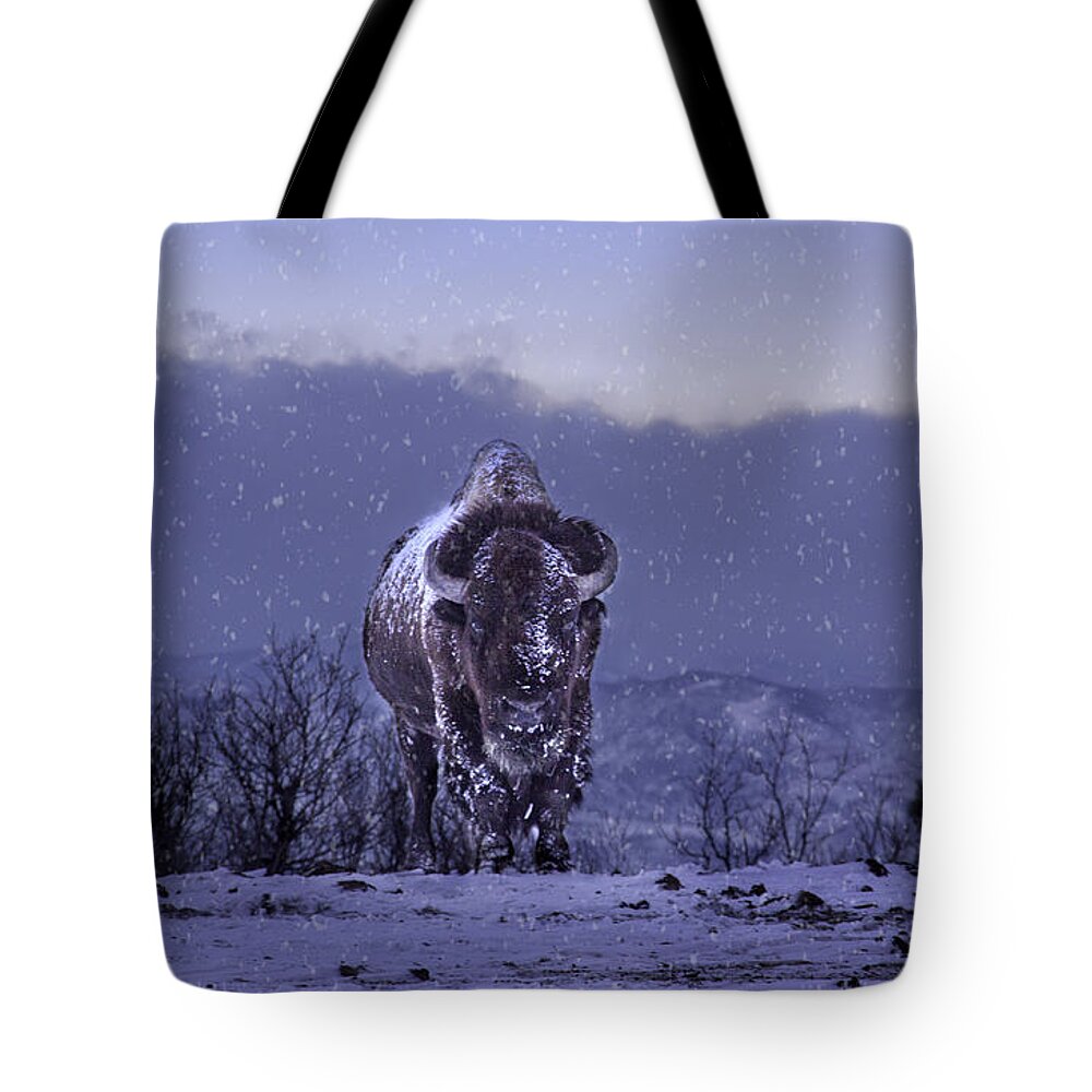 American Bison Tote Bag featuring the photograph Snowflakes Falling on My Head by Kristal Kraft