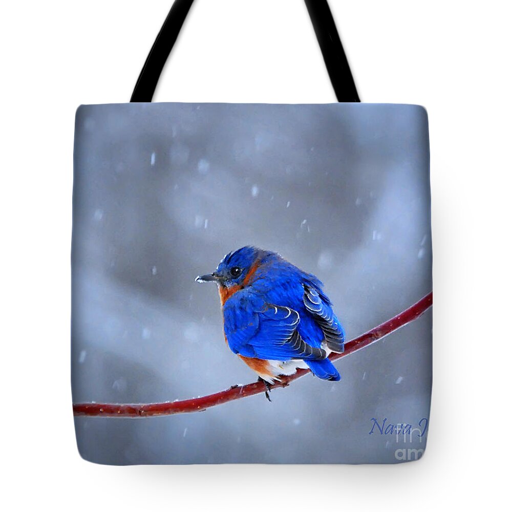 Nature Tote Bag featuring the photograph Snowy Bluebird by Nava Thompson
