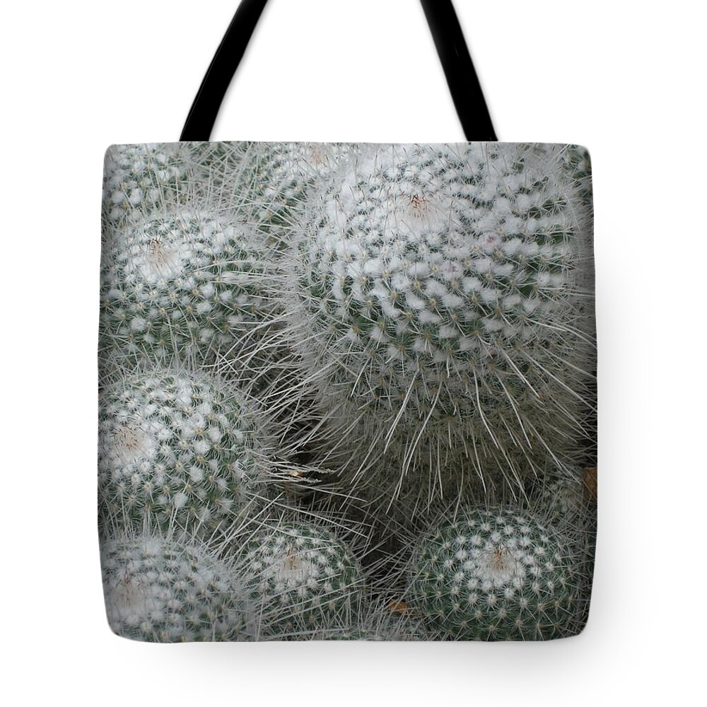 Cactus Tote Bag featuring the photograph Snowy Cactus by Carolyn Jacob