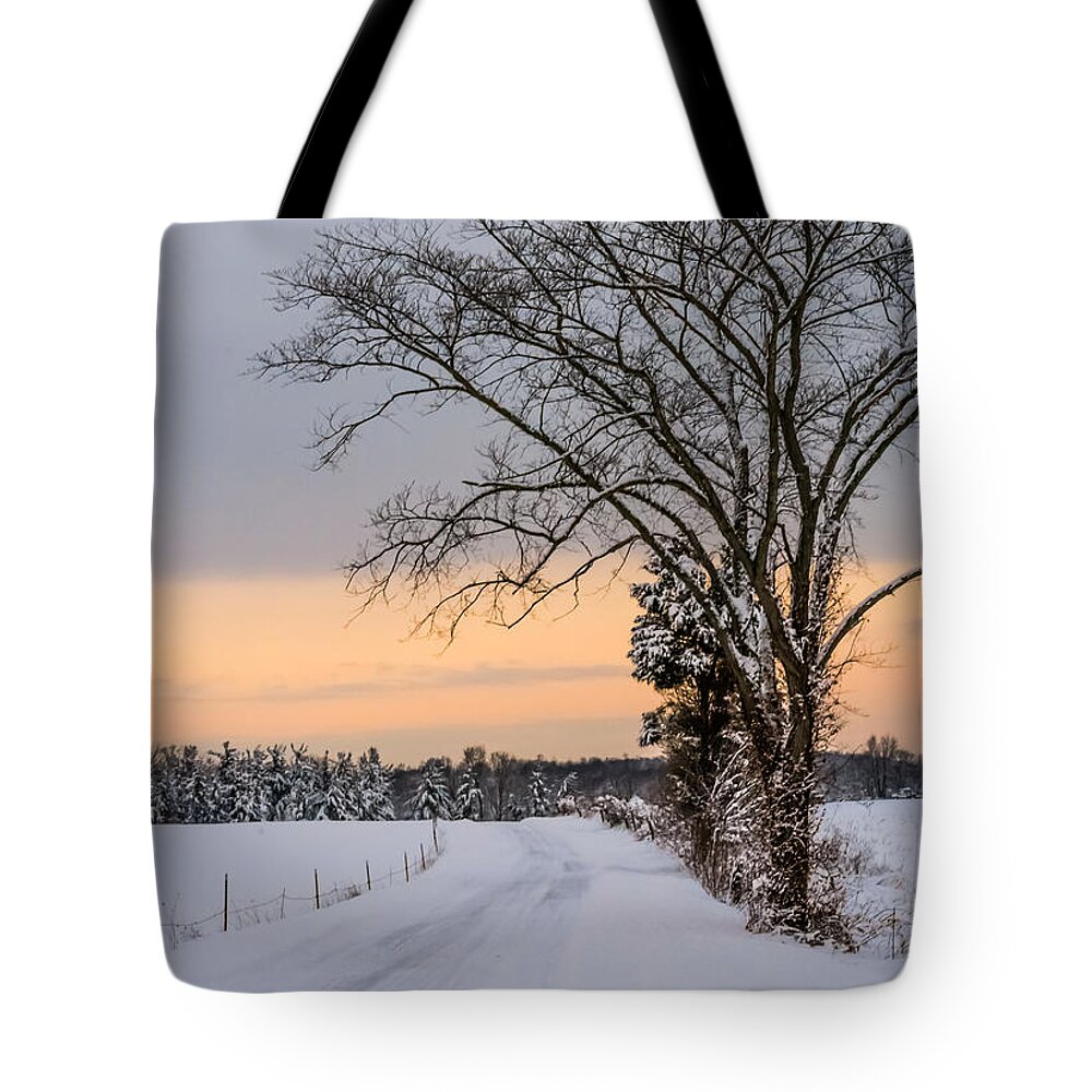 Snow Tote Bag featuring the photograph Snowy Country Road by Holden The Moment