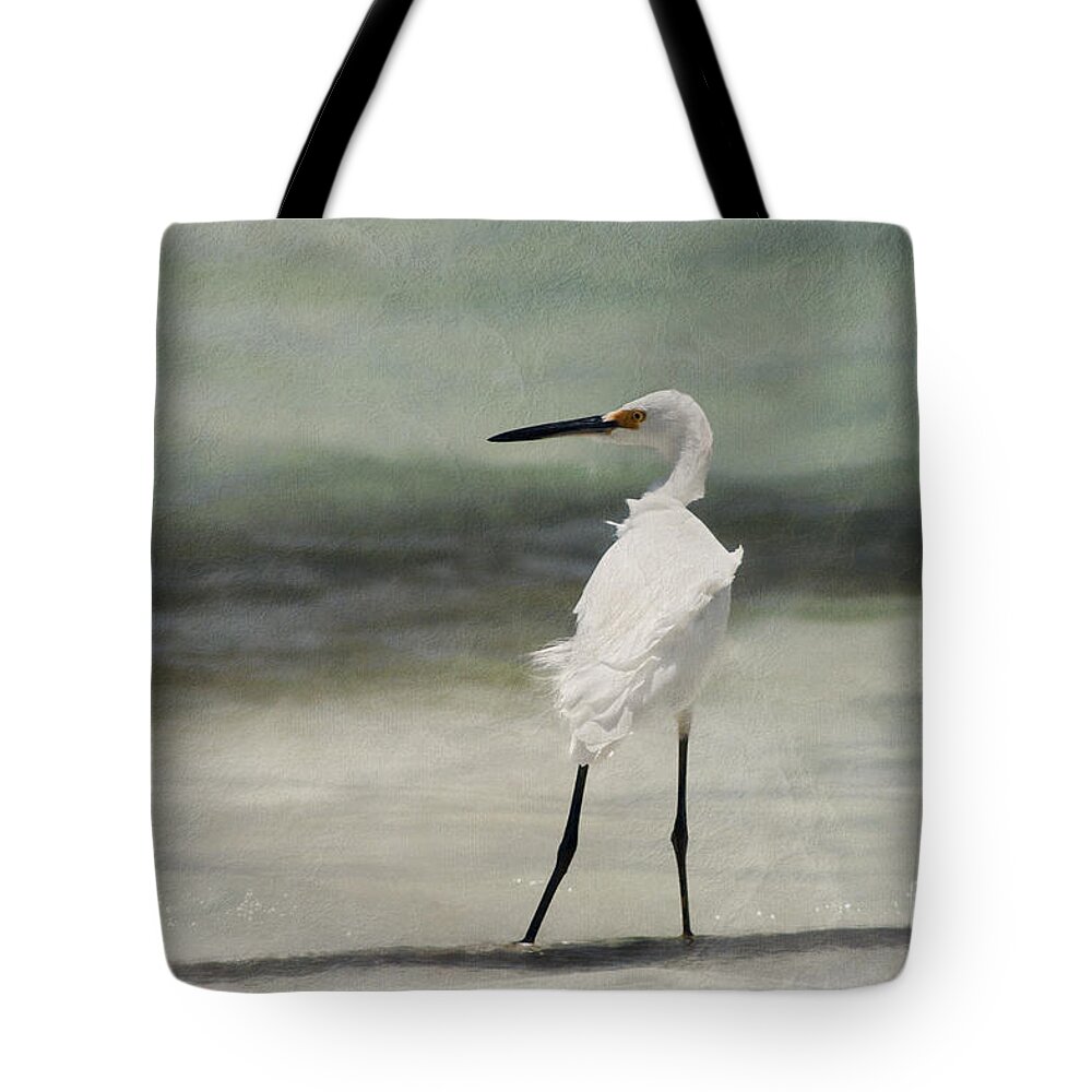 Egret With Textures Tote Bag featuring the photograph Snowy Egret by John Edwards