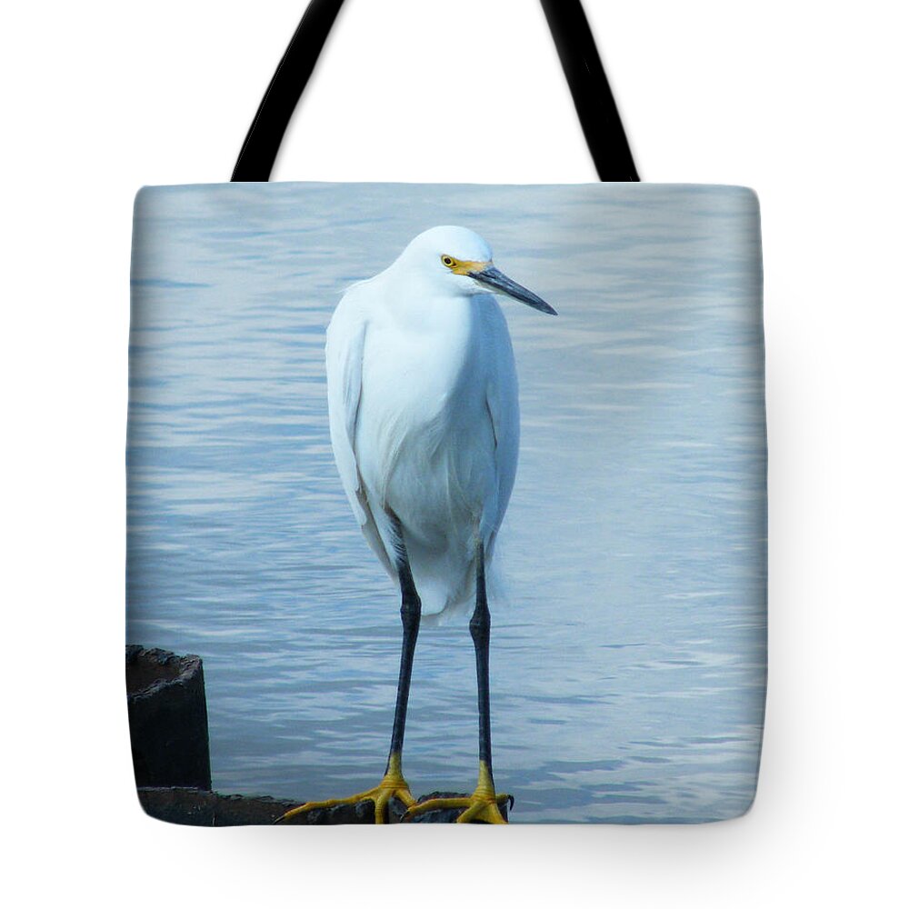 Bird Tote Bag featuring the photograph Snowy Egret by Lizi Beard-Ward