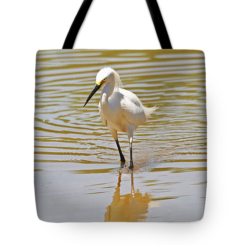 Snowy Egret Looking For Fish Tote Bag featuring the photograph Snowy Egret Looking For Fish by Tom Janca