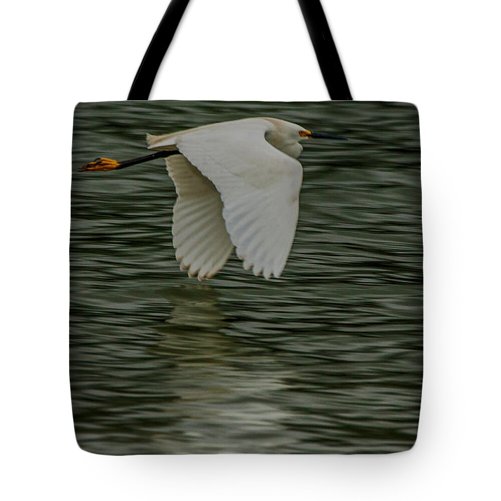 Egretta Thula Tote Bag featuring the photograph Snowy Egret on estuary by Jeff Folger