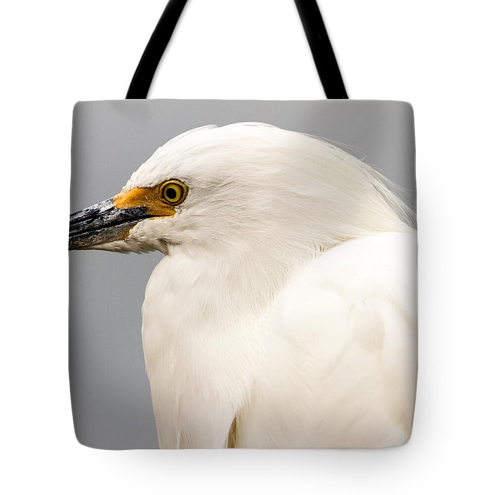 Snowy Egret Tote Bag featuring the photograph Snowy Egret Profile by Ben Graham