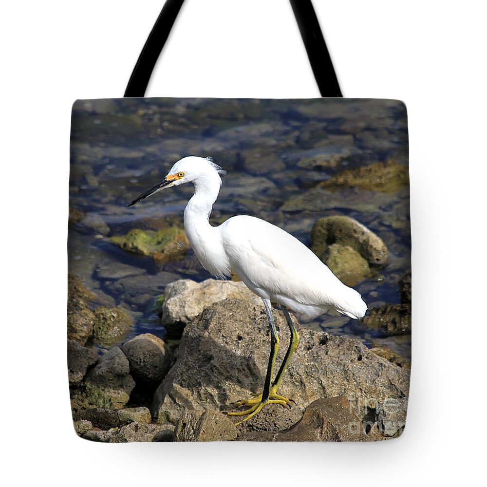 Bird Tote Bag featuring the photograph Snowy Egret by Teresa Zieba