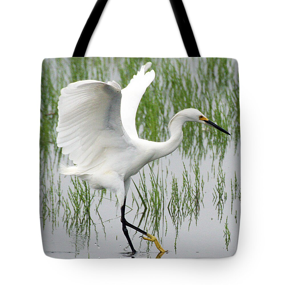 Wildlife Tote Bag featuring the photograph Snowy Egret by William Selander