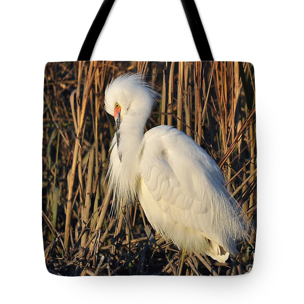 Birds Tote Bag featuring the photograph Snowy Egret With Breeding Colors by Kathy Baccari
