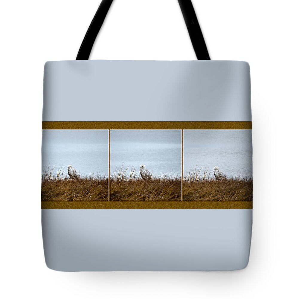 Snowy Owl Tote Bag featuring the photograph Snowy Owl Triptych by Crystal Wightman