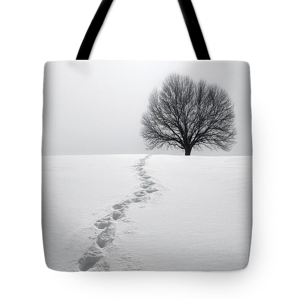 Tree Tote Bag featuring the photograph Snowy Path by Diane Diederich