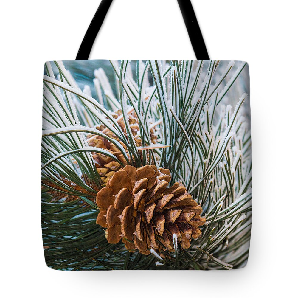 Christmas Tote Bag featuring the photograph Snowy Pine Cones by Dawn Key