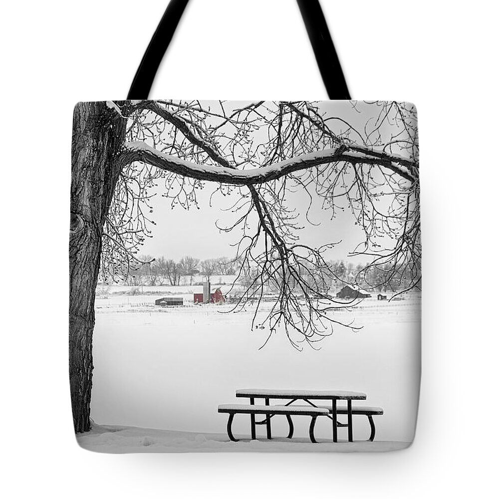 Snow Tote Bag featuring the photograph Snowy Winter Country Cottonwood Tree View BWSC by James BO Insogna