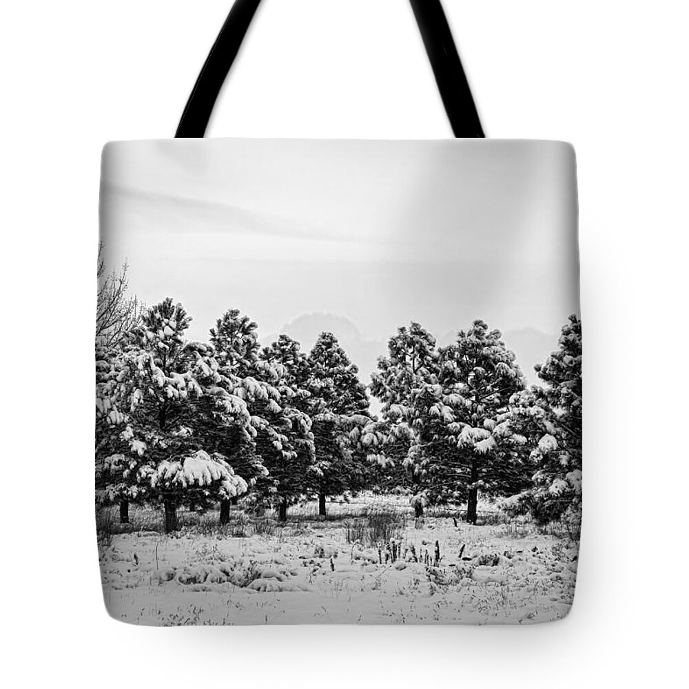 Snow Tote Bag featuring the photograph Snowy Winter Pine Trees In Black and White by James BO Insogna