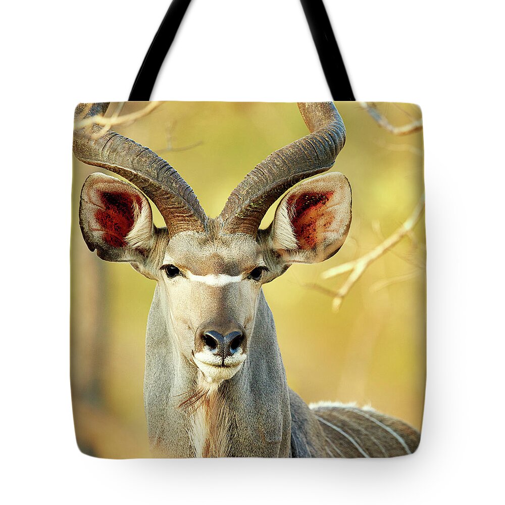 Environmental Conservation Tote Bag featuring the photograph So Majestic by Yuri arcurs