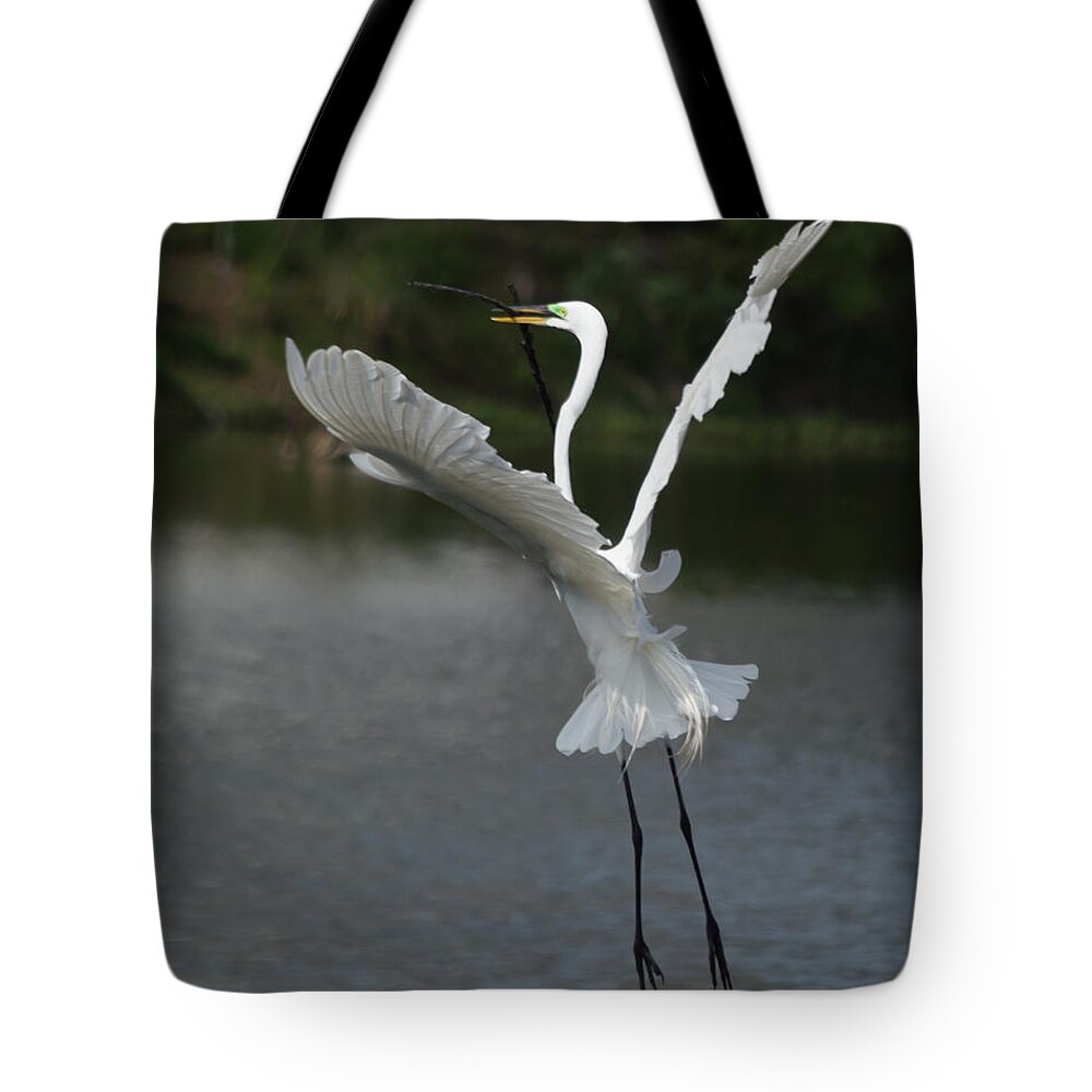 susan Molnar Tote Bag featuring the photograph So You Think You Can Dance by Susan Molnar