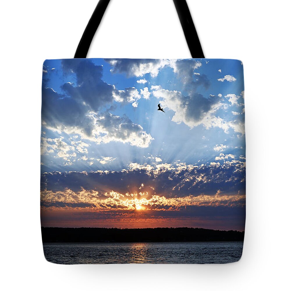 Day Island Tote Bag featuring the photograph Soaring Sunset by Anthony Baatz