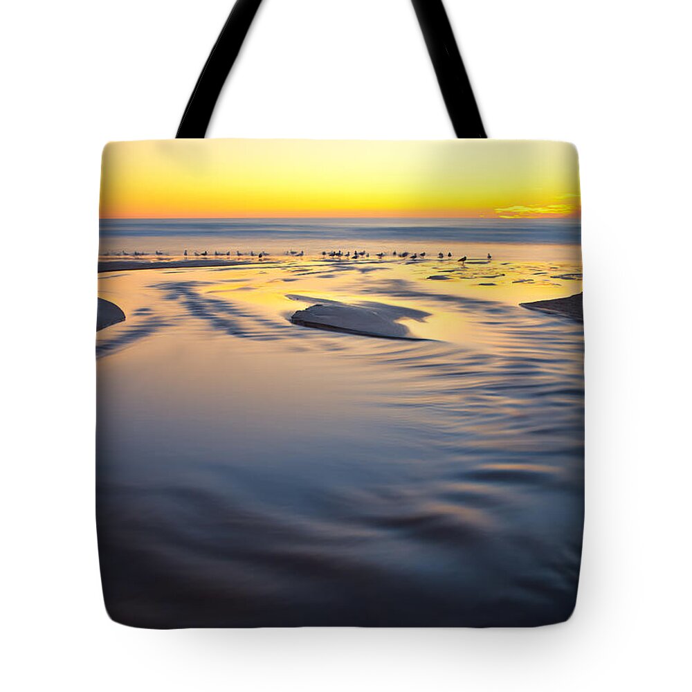 Landscape Tote Bag featuring the photograph Socialize by Jonathan Nguyen