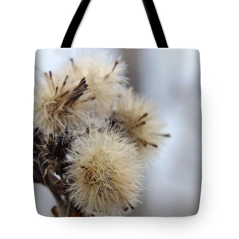 Nature Tote Bag featuring the photograph Soft As Down by Peggy King