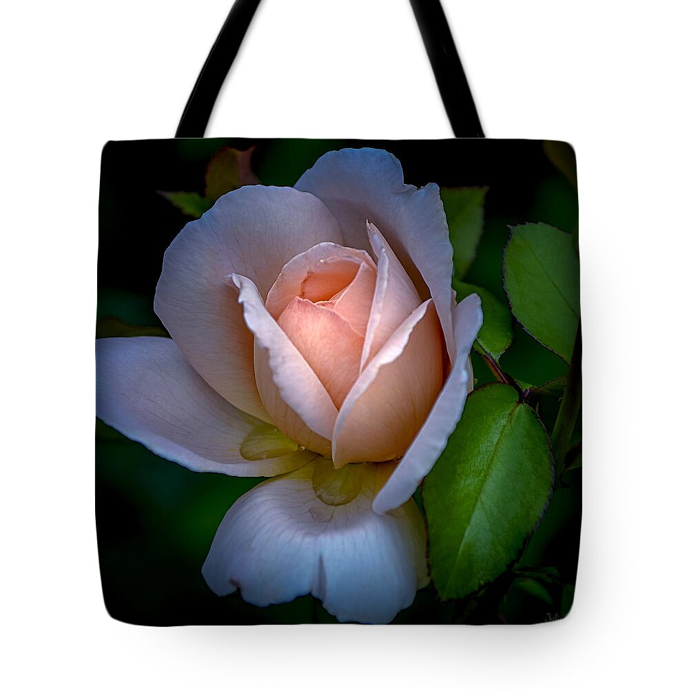 Rose Tote Bag featuring the photograph Soft Blush Rose by Julie Palencia