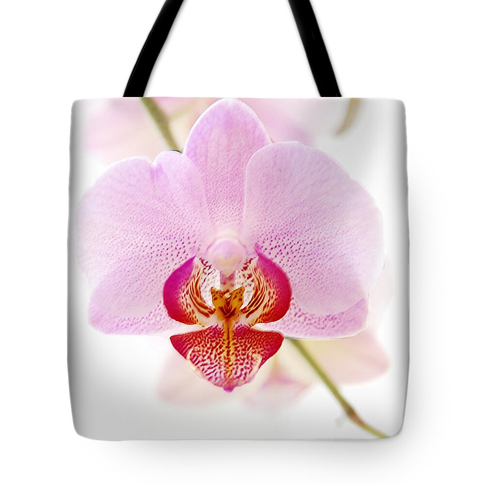 Asia Tote Bag featuring the photograph Soft Orchid by Hannes Cmarits