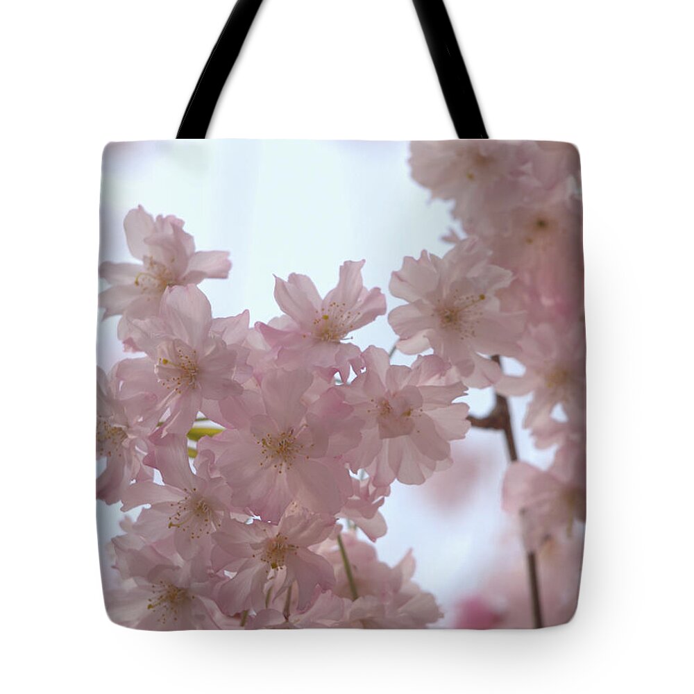 Cherry Blossoms Tote Bag featuring the photograph Soft... by Yuka Kato