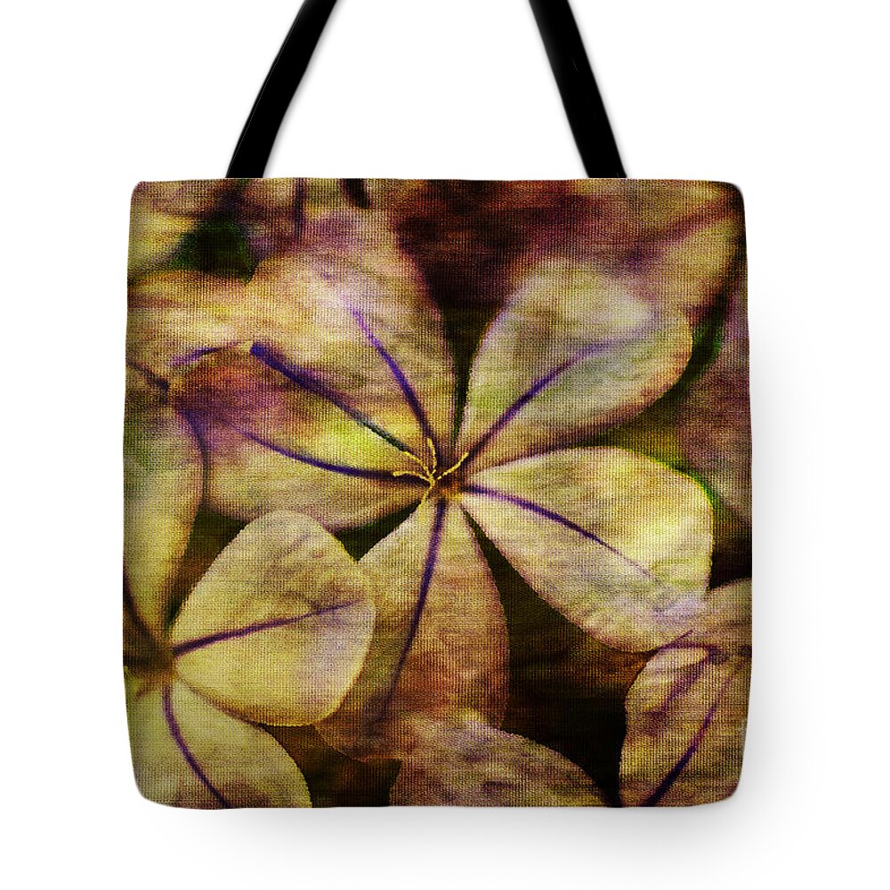 Flower Art Tote Bag featuring the painting Soft Violet and Orange Flower Art by Jani Bryson