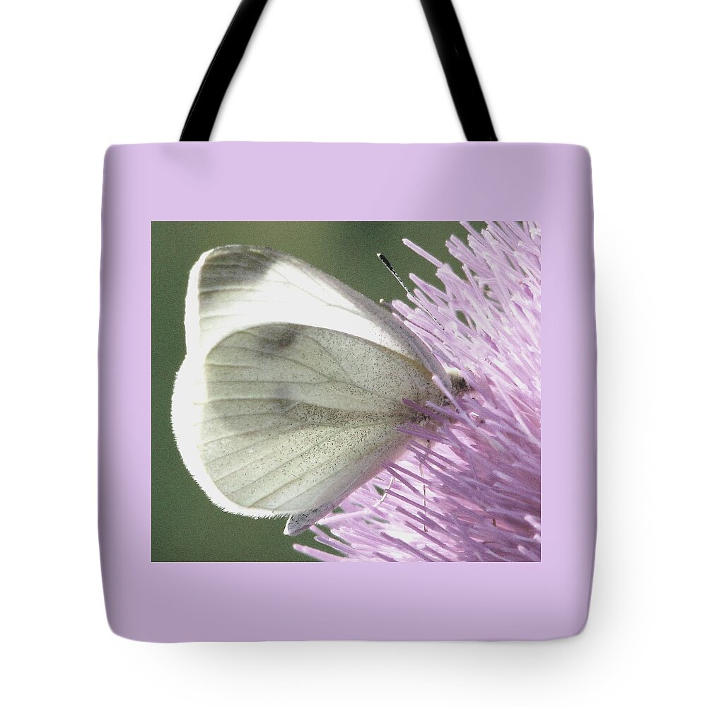Thistle Tote Bag featuring the photograph Softly Into Summer by Angela Davies
