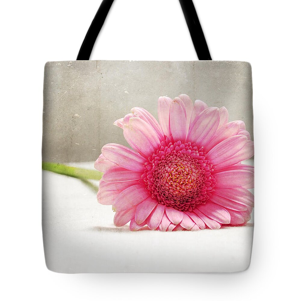 Daisy Tote Bag featuring the photograph Softness in Pink by Randi Grace Nilsberg