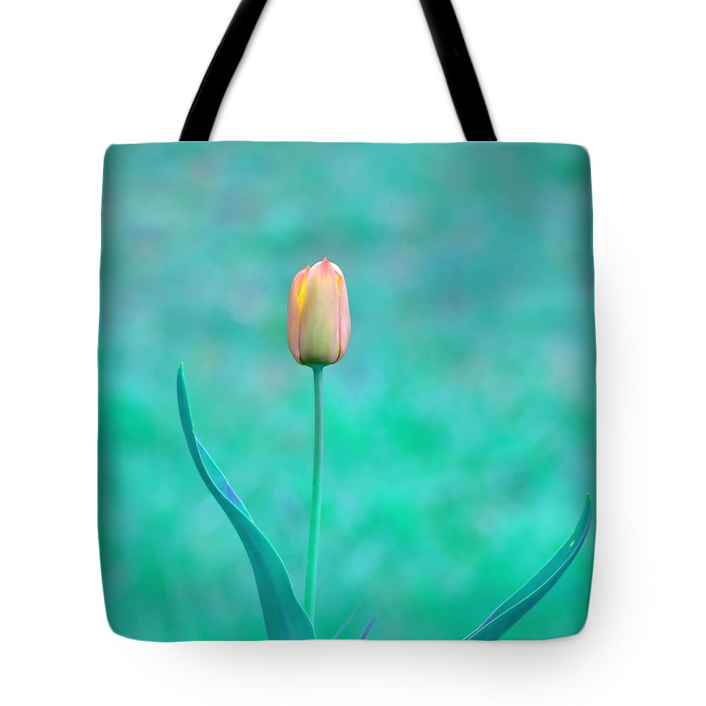 Tulip Tote Bag featuring the photograph Solitude by Deena Stoddard