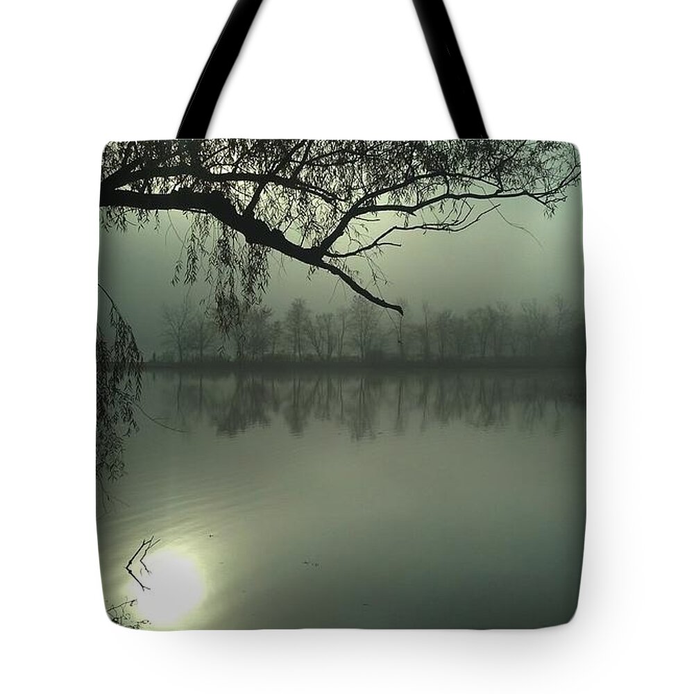 Fog Tote Bag featuring the photograph Solitude by Joe Faherty