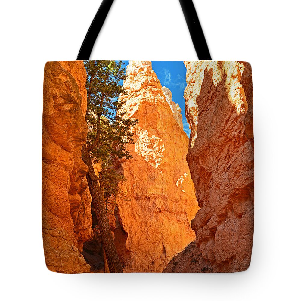  Tote Bag featuring the photograph Solo Tree - Bryce Canyon by Dana Sohr