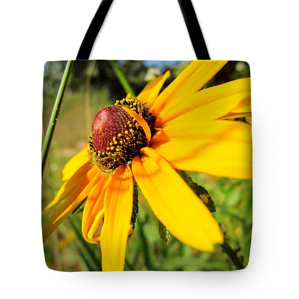 Wildflower Tote Bag featuring the photograph Something Out of Place by Cynthia Clark