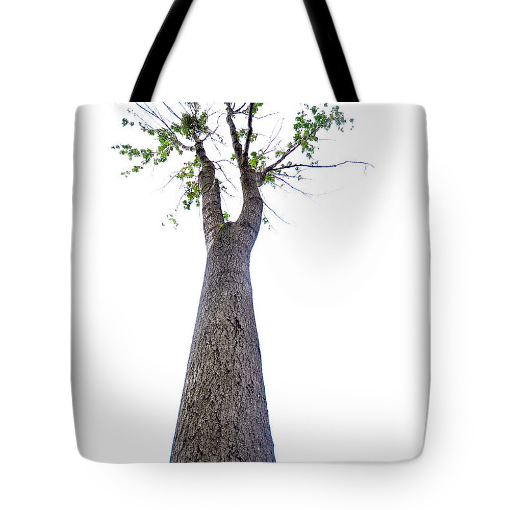 Tall Tote Bag featuring the photograph Somewhere up there by Randi Grace Nilsberg