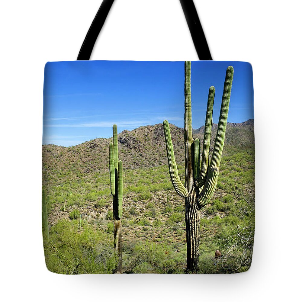 Saguaro Cactus Tote Bag featuring the photograph Sonoran Desert by Jacobh