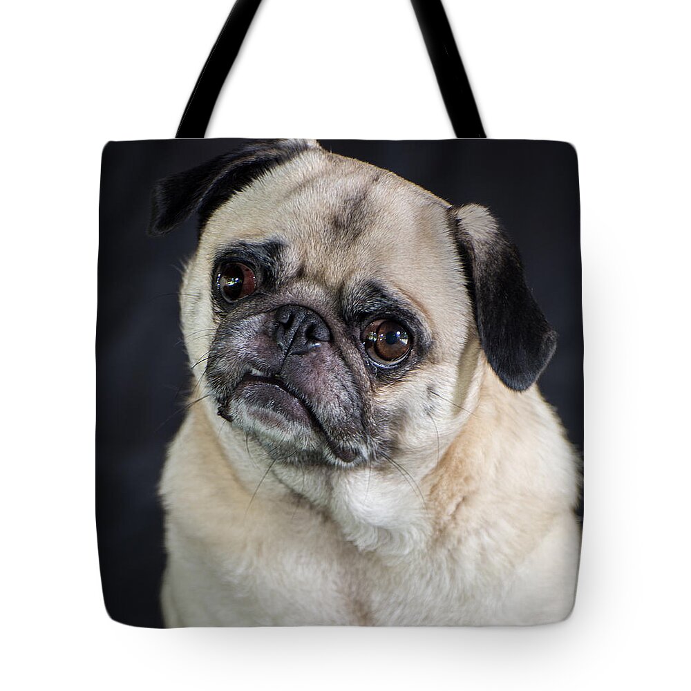 Pet Tote Bag featuring the photograph Sophie by Stacy Abbott