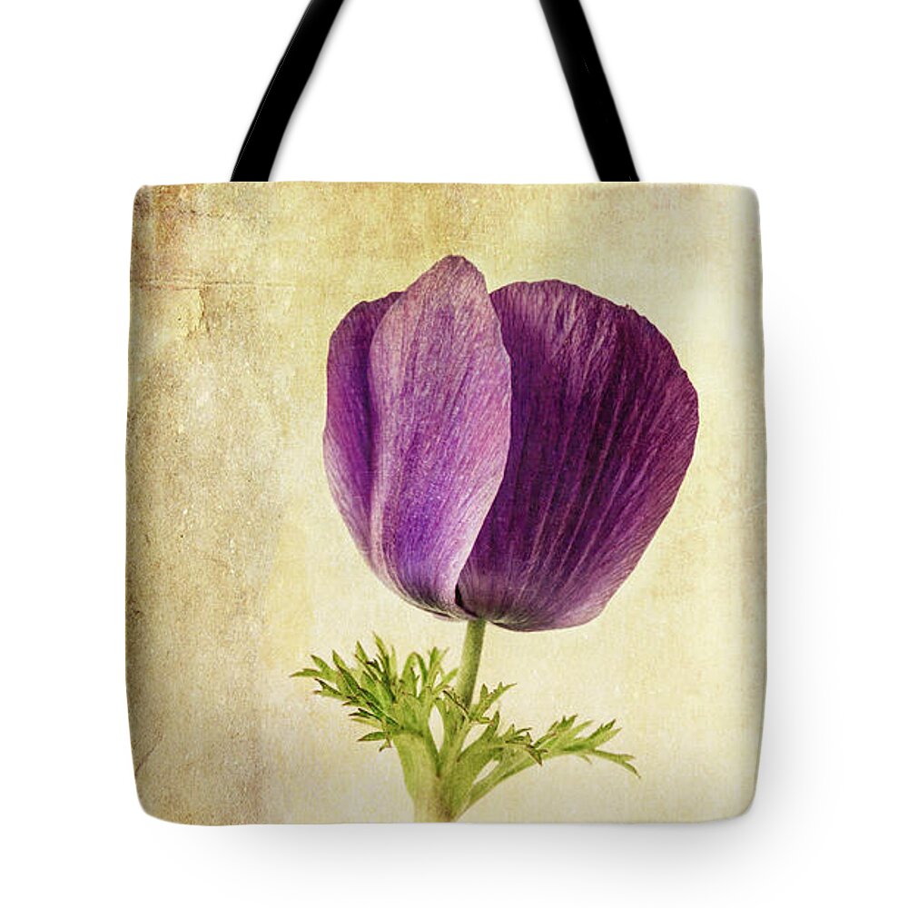 Anemone Tote Bag featuring the photograph Sophisticated Lady by Caitlyn Grasso