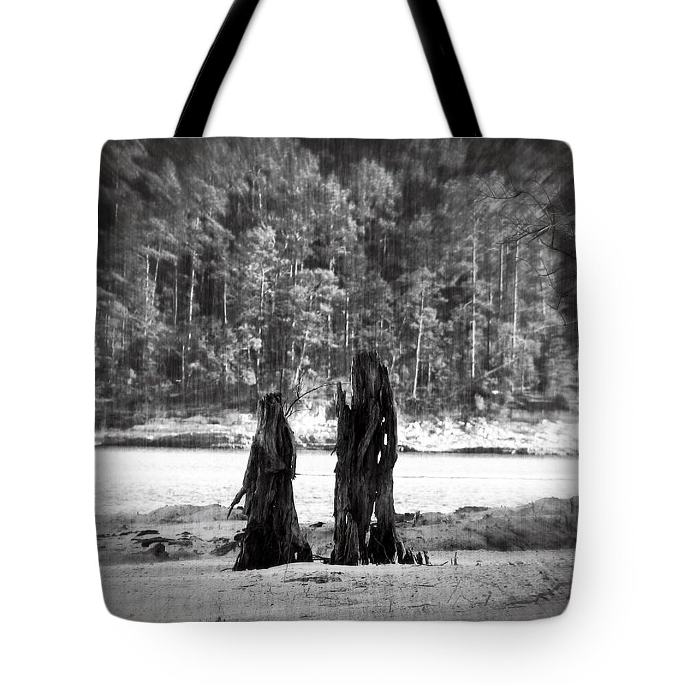 Stump Tote Bag featuring the photograph Soul Mates by Max Mullins