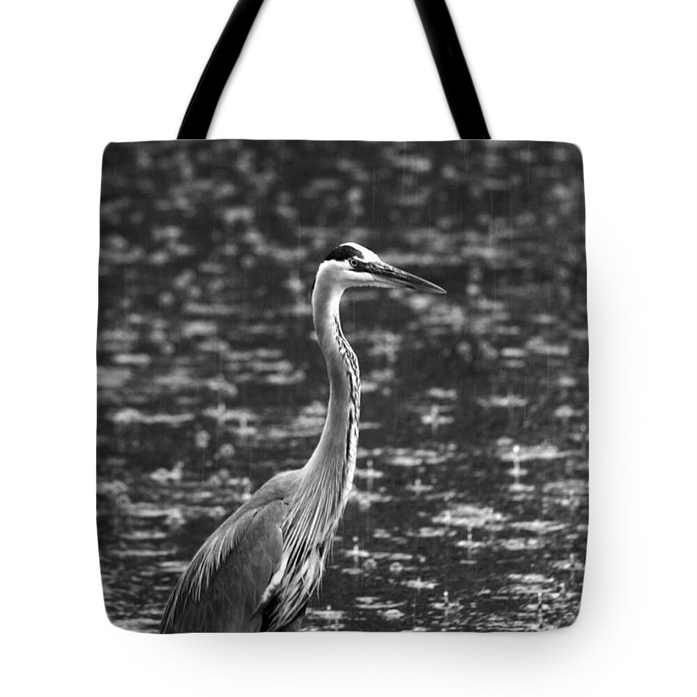 Landscapes Tote Bag featuring the photograph Sound of Rain by John F Tsumas