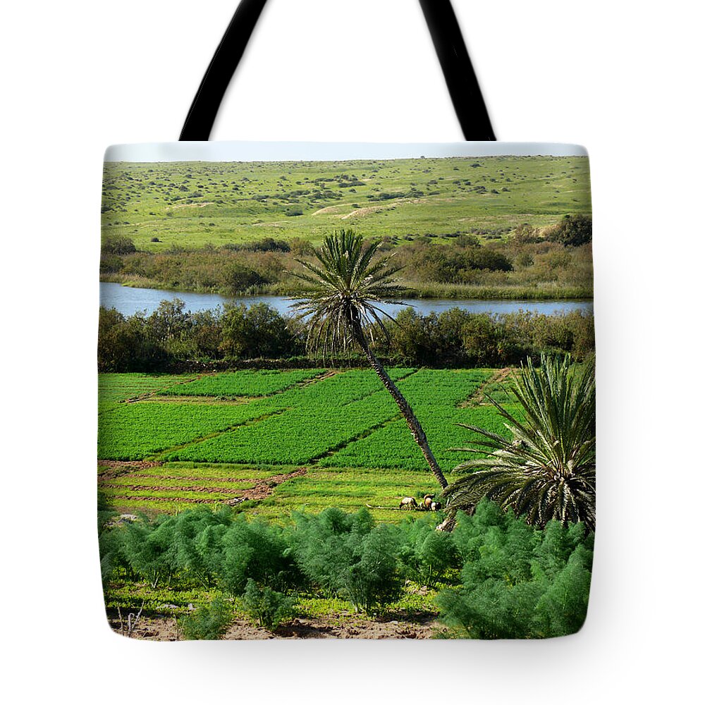 Morocco Tote Bag featuring the photograph Souss-Massa National Park by Tracy Winter