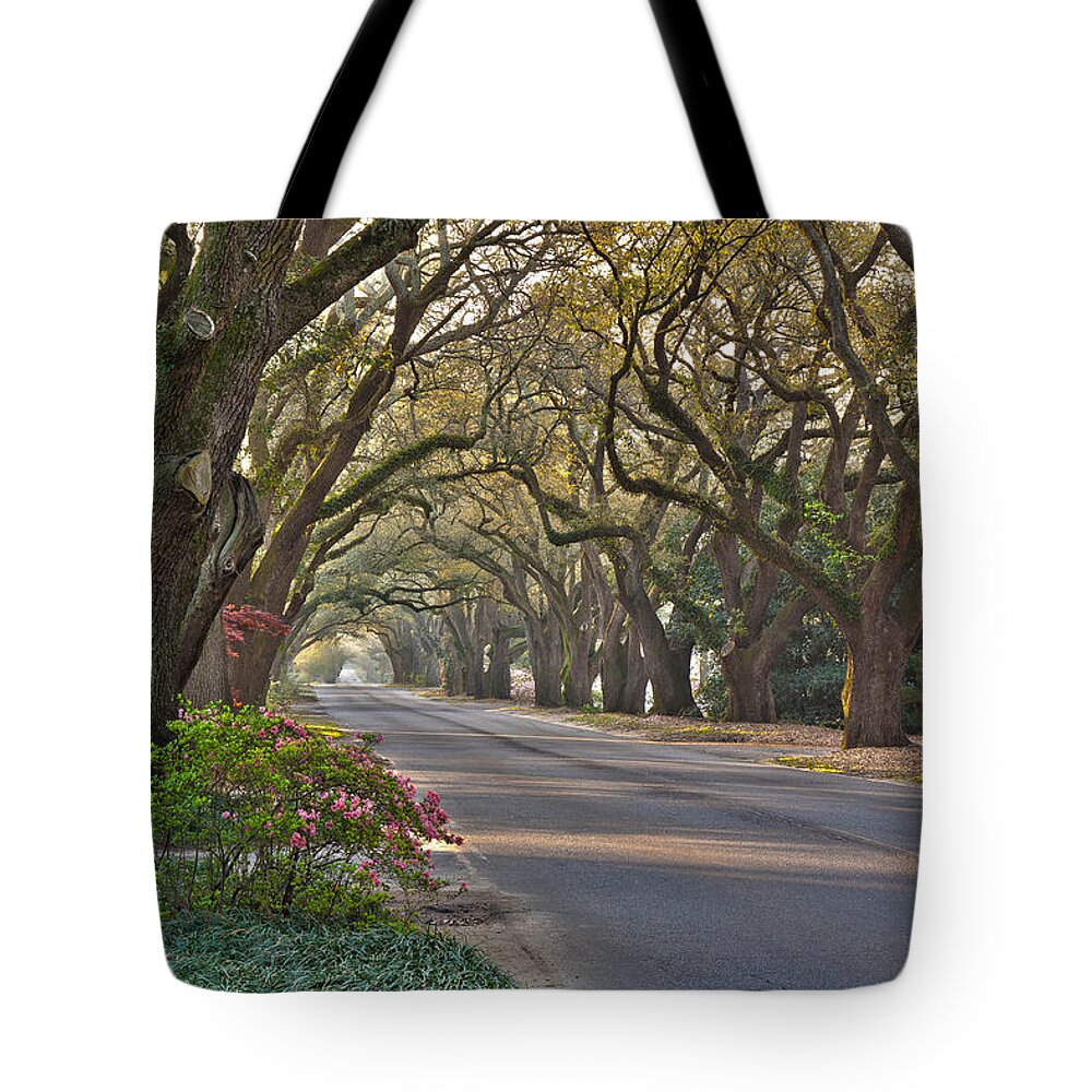 South Boundary Tote Bag featuring the photograph South Boundary in Spring by Shirley Radabaugh