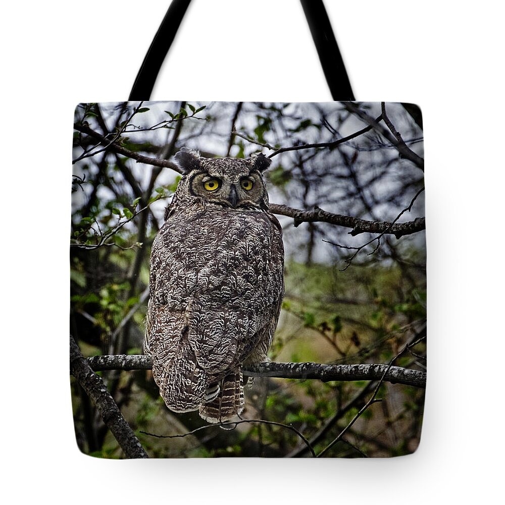 South Of The Dalles Owl Tote Bag featuring the photograph South of The Dalles Owl by Wes and Dotty Weber