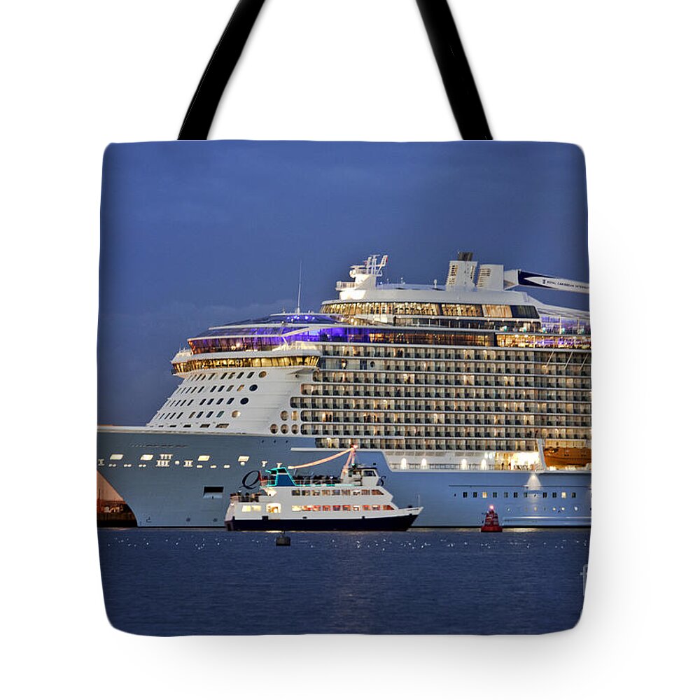 Quantum Of The Seas Tote Bag featuring the photograph Size Matters by Terri Waters
