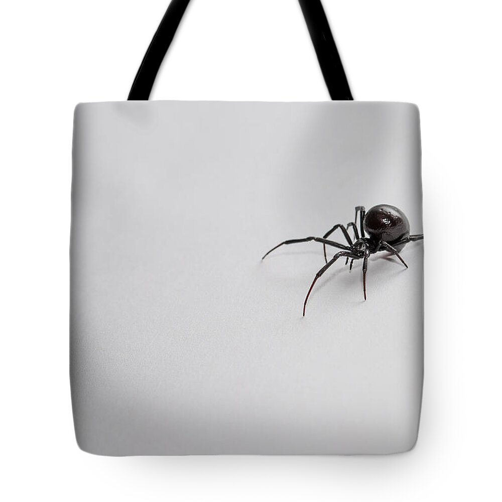 Black Tote Bag featuring the photograph Southern Black Widow Spider by Amber Flowers