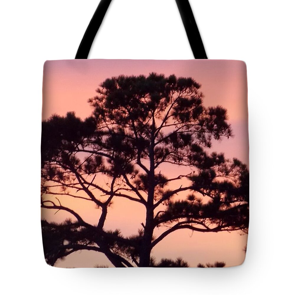 Sunset Tote Bag featuring the photograph Southern Sundown by John Glass